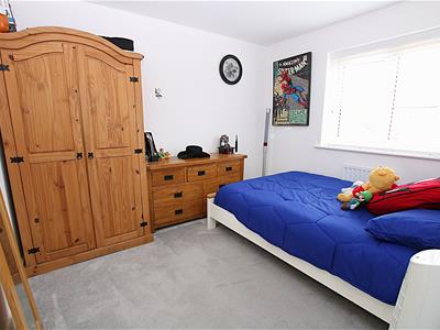 Picture 11